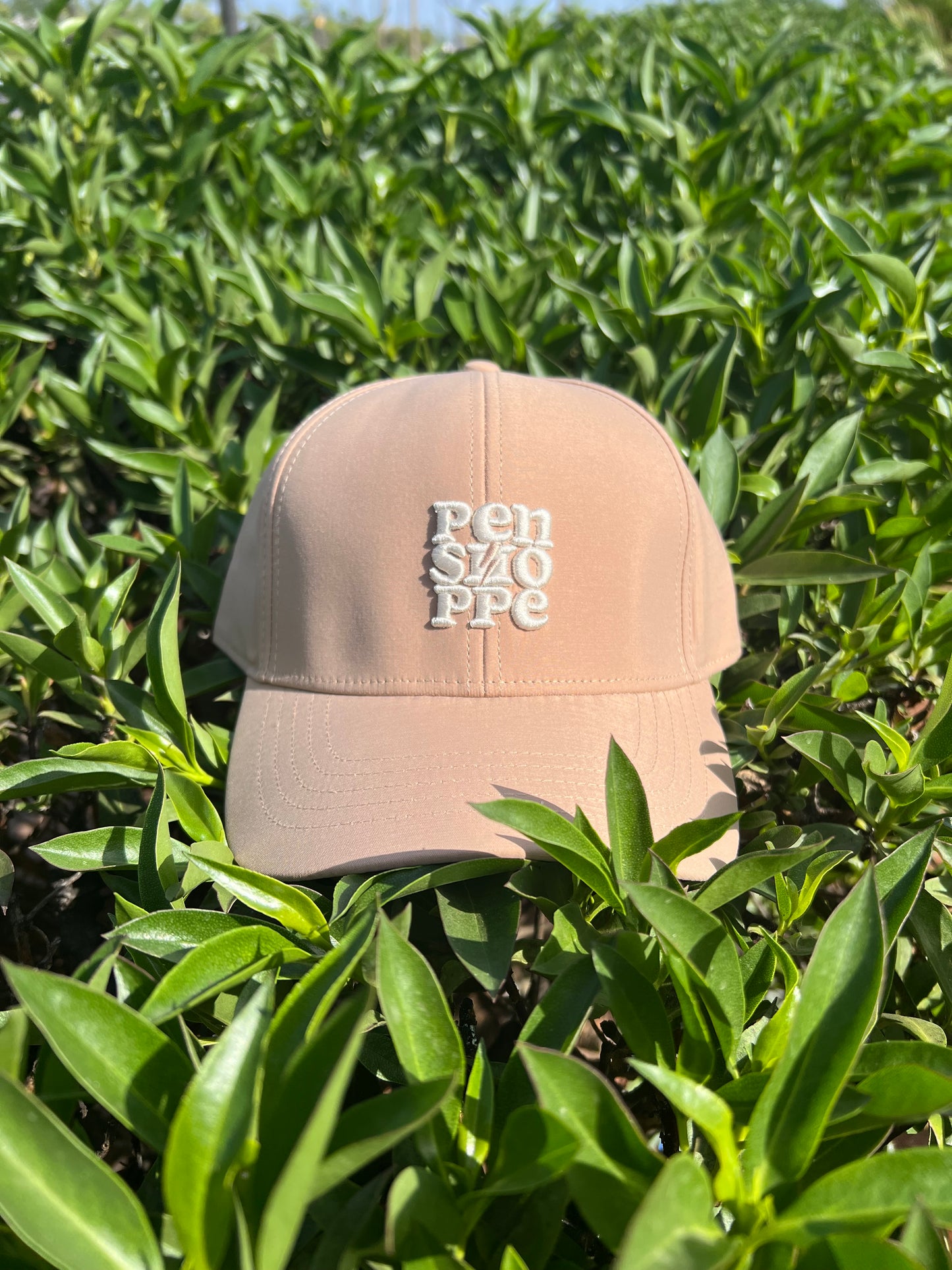 Beige PENSHOPPE Cap