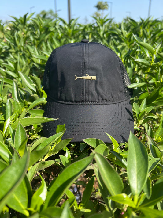 Black Mesh Baseball Cap