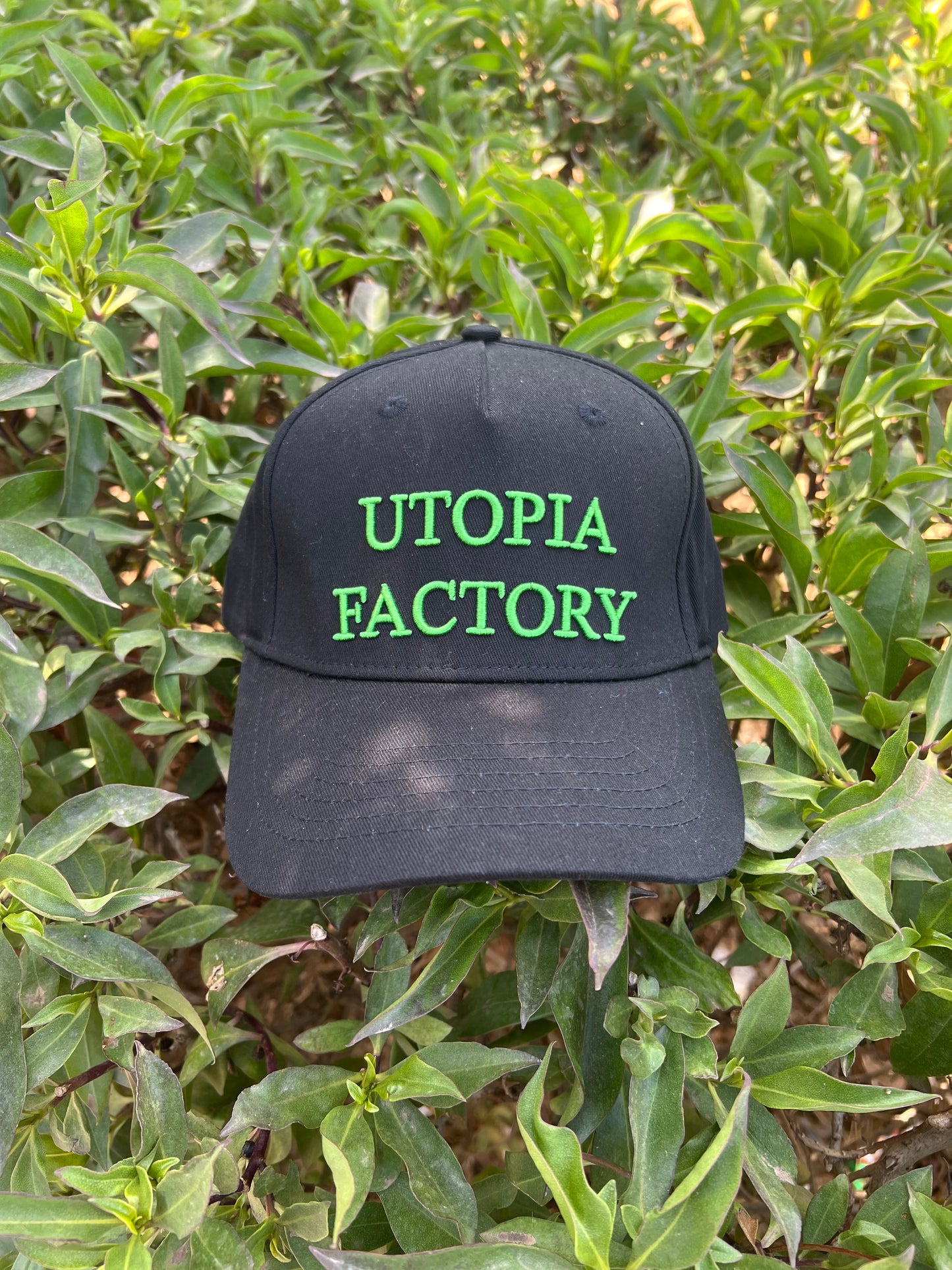 Utopia Factory Black Cap