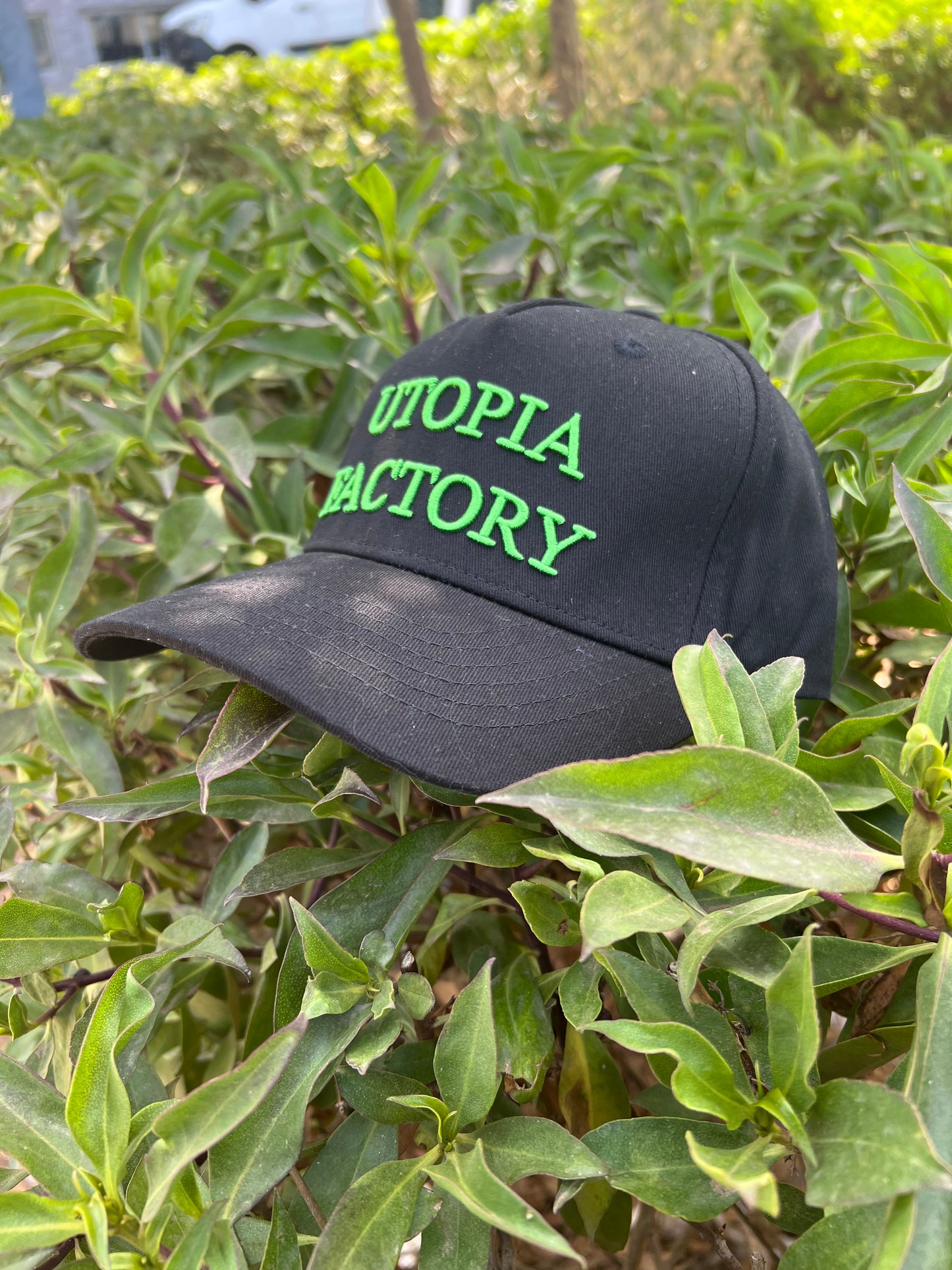 Utopia Factory Black Cap