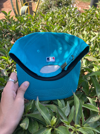 Teal Compass Embroidered Cap
