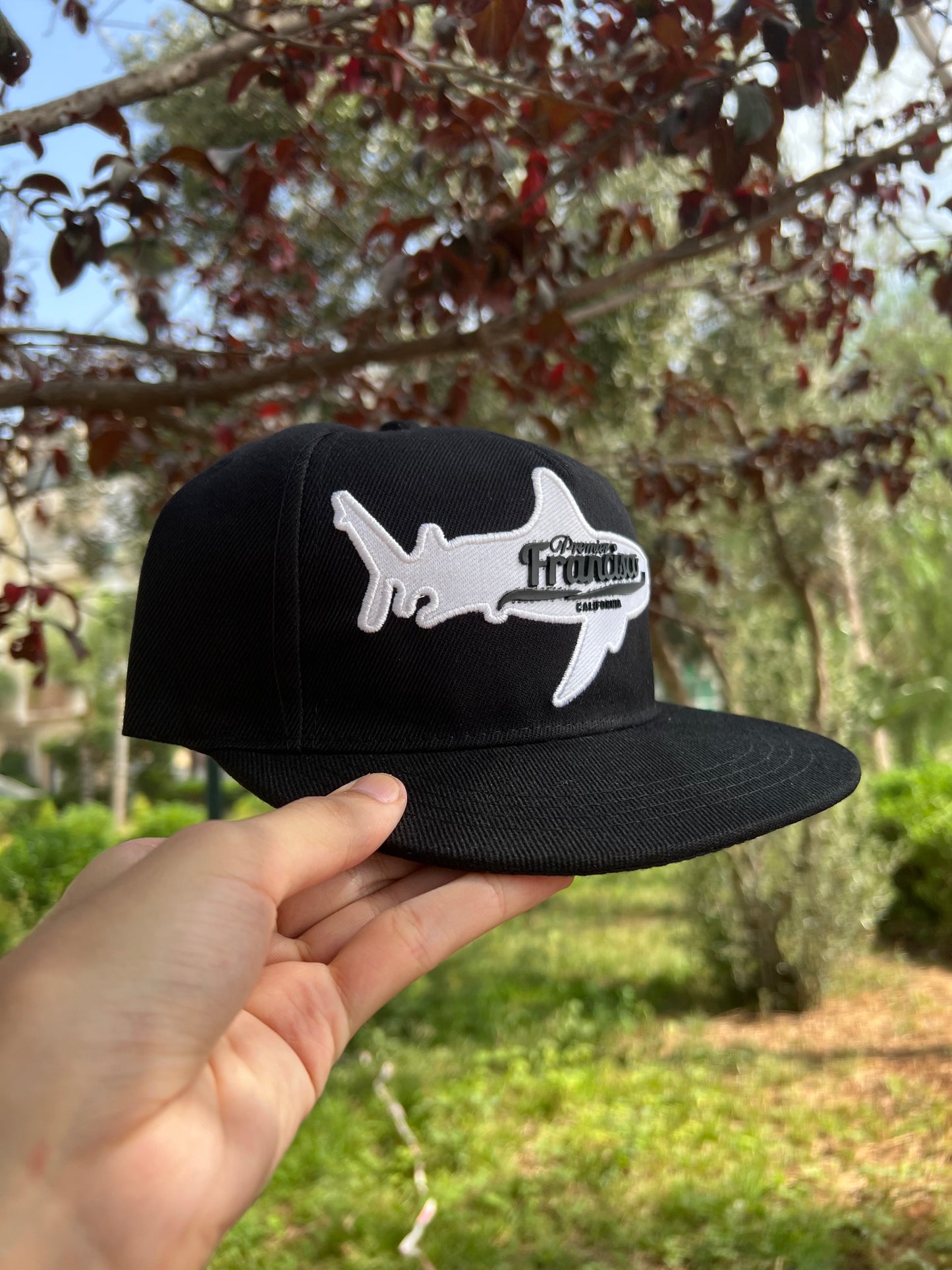 Black Shark San Francisco Snapback Cap