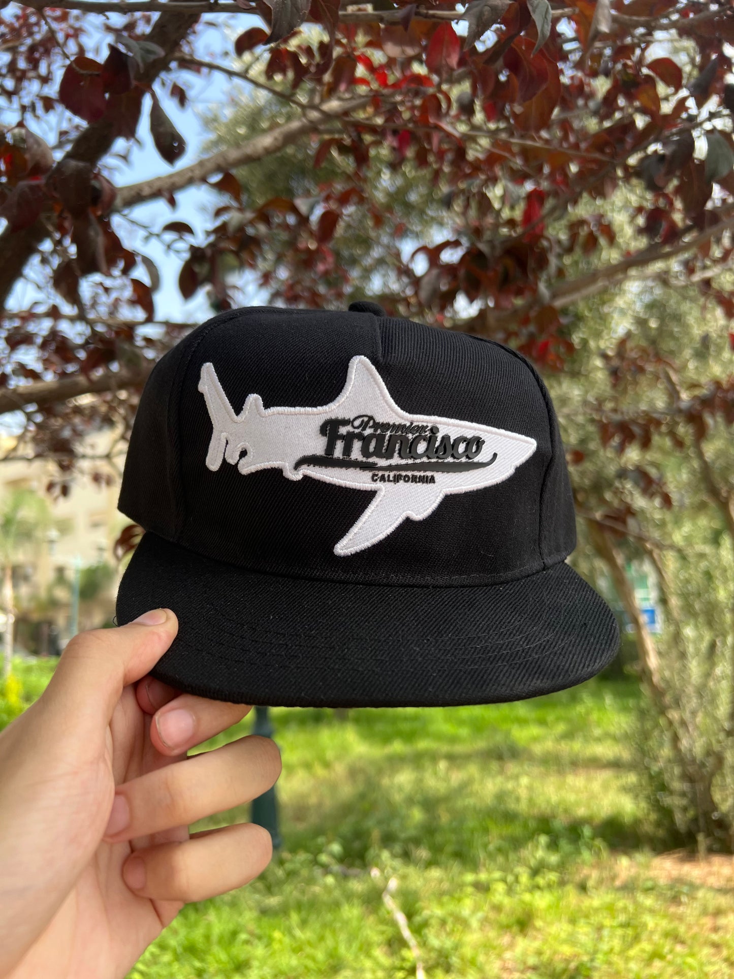 Black Shark San Francisco Snapback Cap