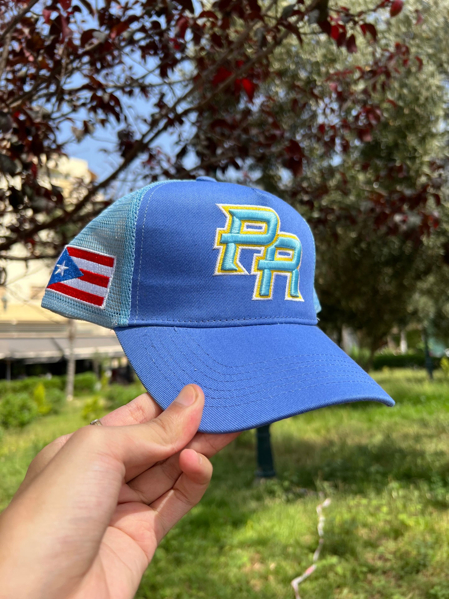 Puerto Rico Pride Cap