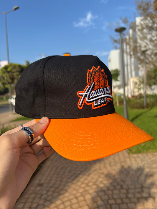 Havanna Leaf Street Cap