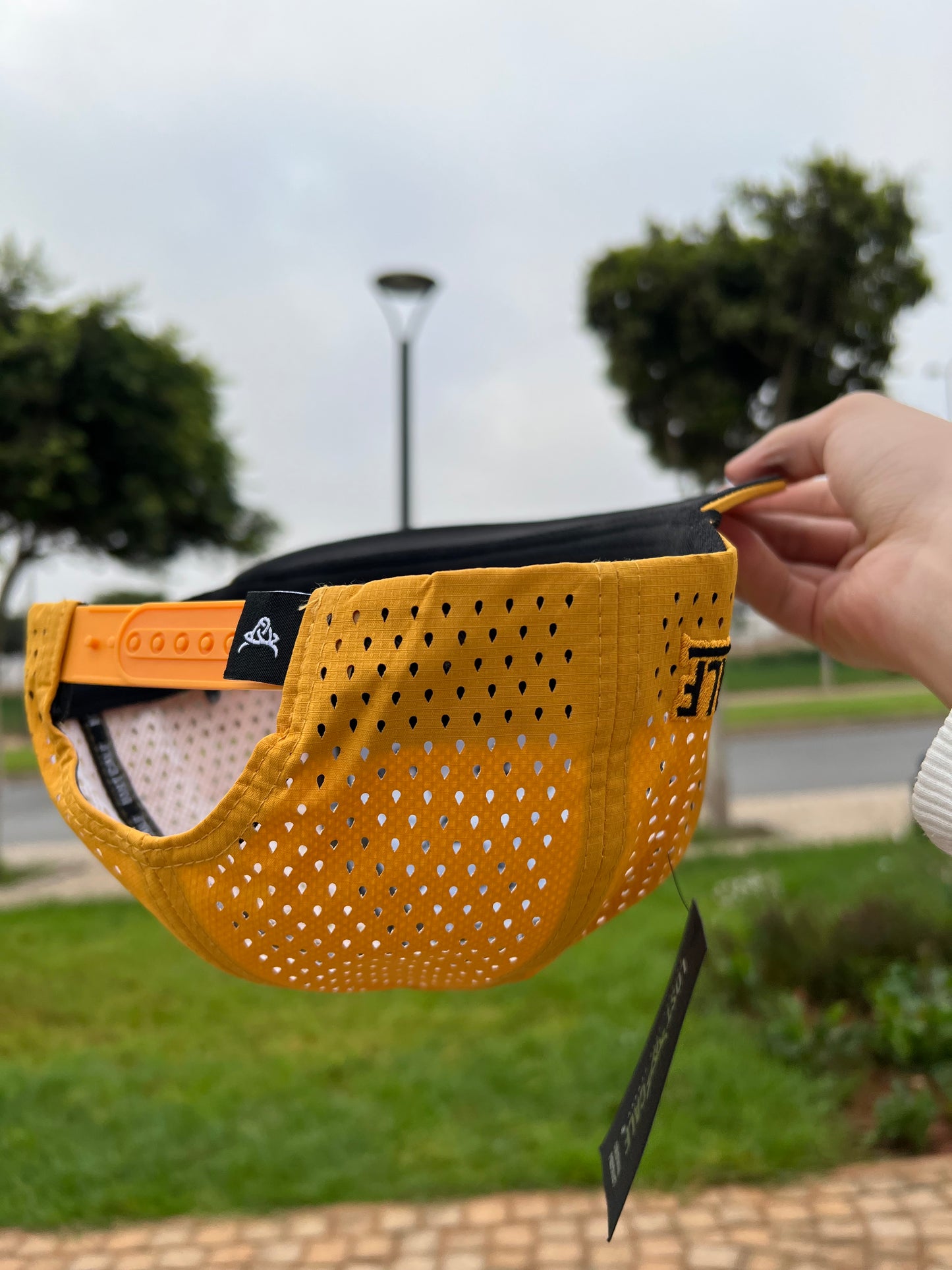 Golden Bull lost calf original